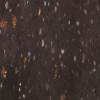 E 615 Cosmic Particle sm